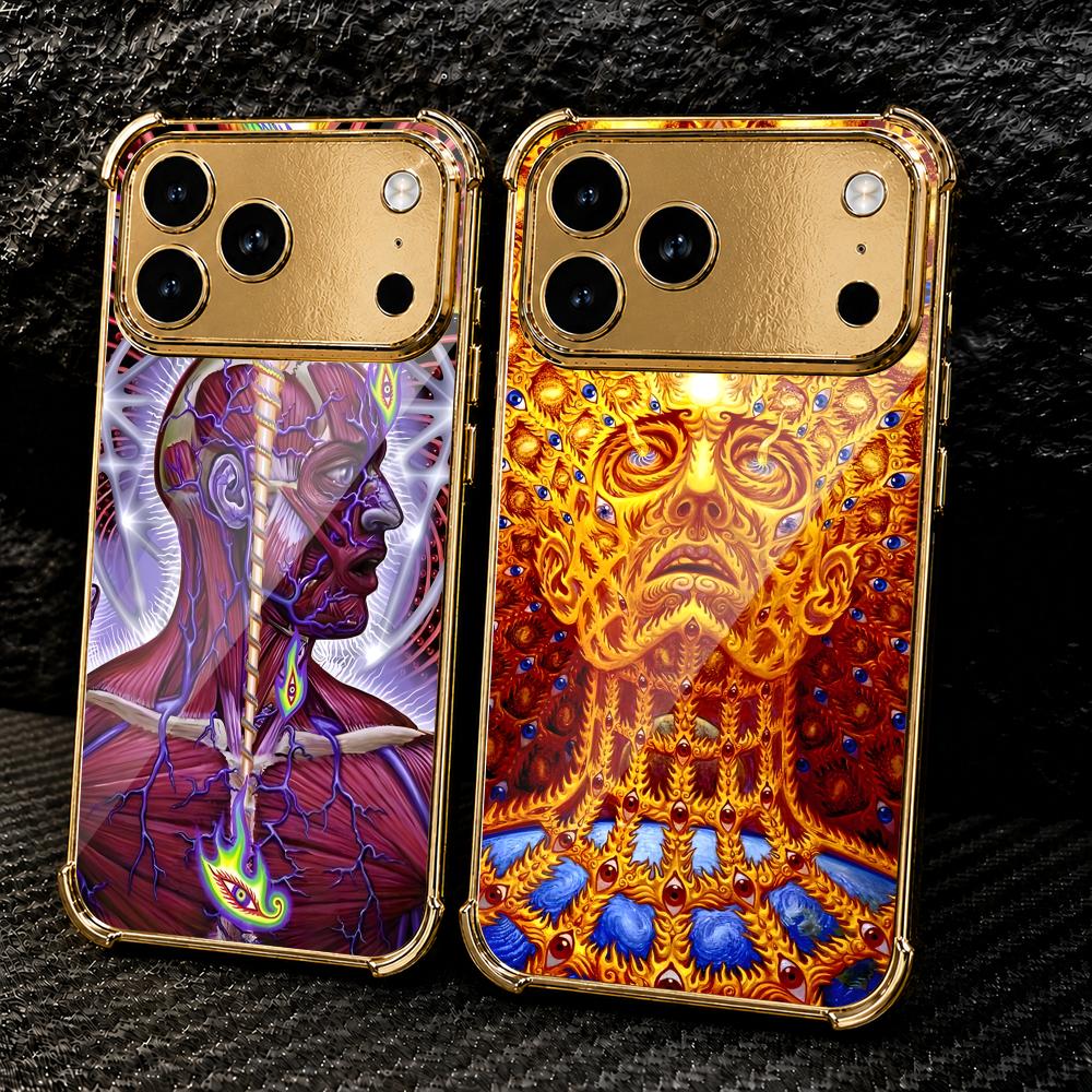 Aesthetic Art A-Alex Grey Phon - Metal Photo Panel 评论和价格
